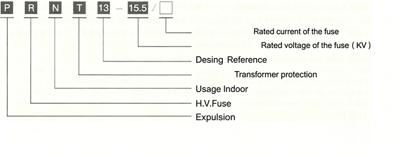PRNT American-Type Fuse Model Description Diagram