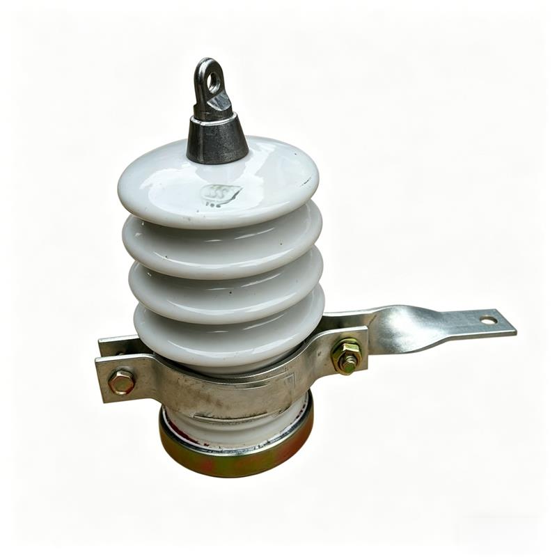 Y5WS-10/30 Distribution Type Porcelain Housing Zinc Oxide Arrester