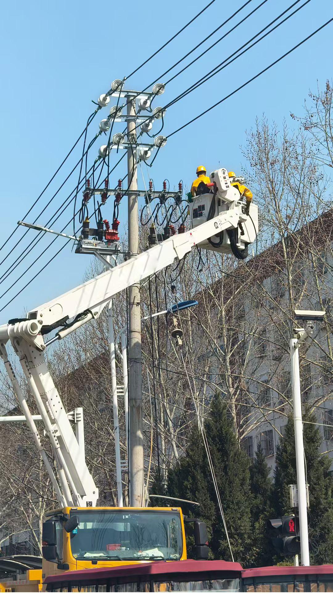Hubei 10kV Line Distribution Renovation Project